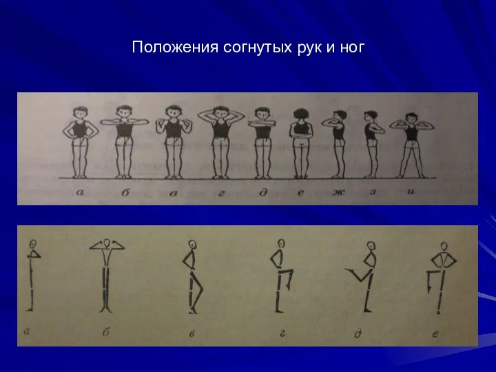 Положения согнутых рук и ног