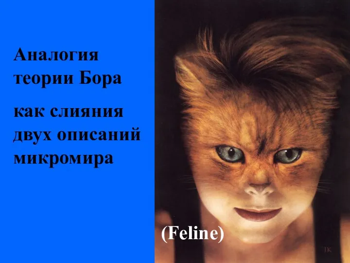 Аналогия теории Бора как слияния двух описаний микромира (Feline)