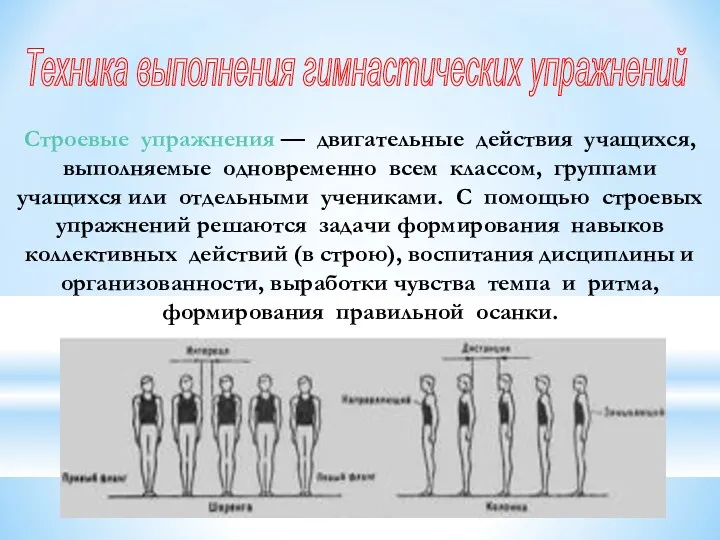 Техника выполнения гимнастических упражнений Строевые упражнения — двигательные действия учащихся,