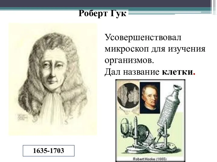 Усовершенствовал микроскоп для изучения организмов. Дал название клетки. 1635-1703 Роберт Гук