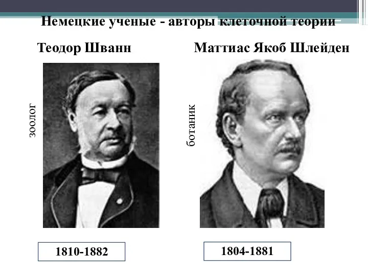 Маттиас Якоб Шлейден 1810-1882 1804-1881 Немецкие ученые - авторы клеточной теории Теодор Шванн зоолог ботаник