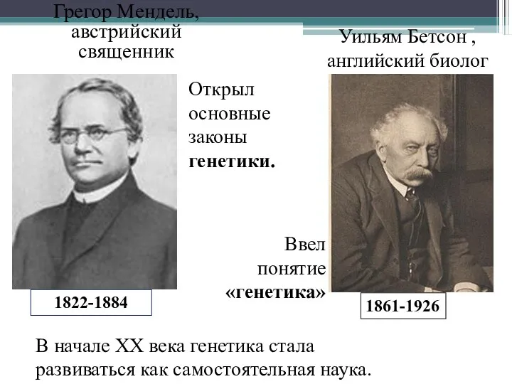 Грегор Мендель, австрийский священник 1822-1884 Открыл основные законы генетики. Уильям