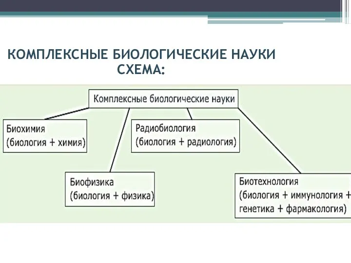 КОМПЛЕКСНЫЕ БИОЛОГИЧЕСКИЕ НАУКИ СХЕМА: