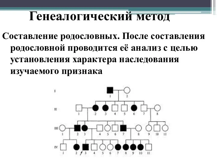 Генеалогический метод Составление родословных. После составления родословной проводится её анализ