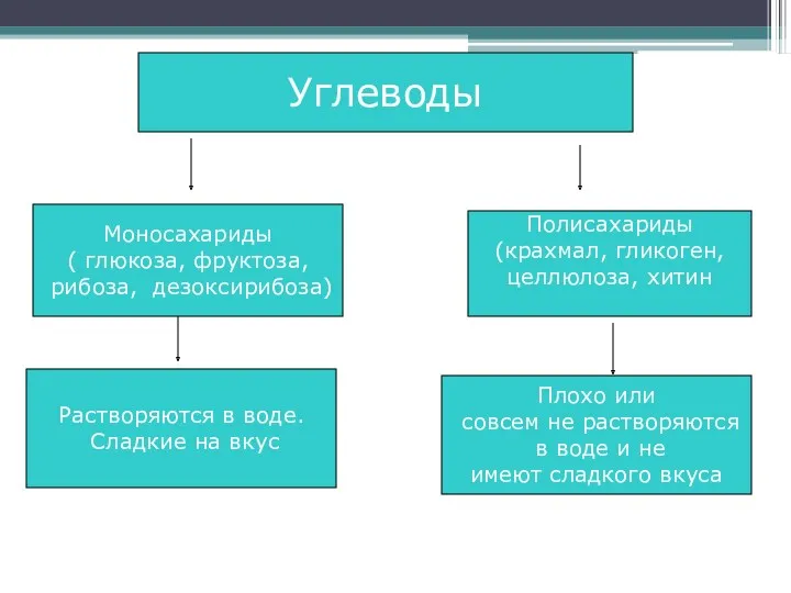 Углеводы Моносахариды ( глюкоза, фруктоза, рибоза, дезоксирибоза) Полисахариды (крахмал, гликоген,