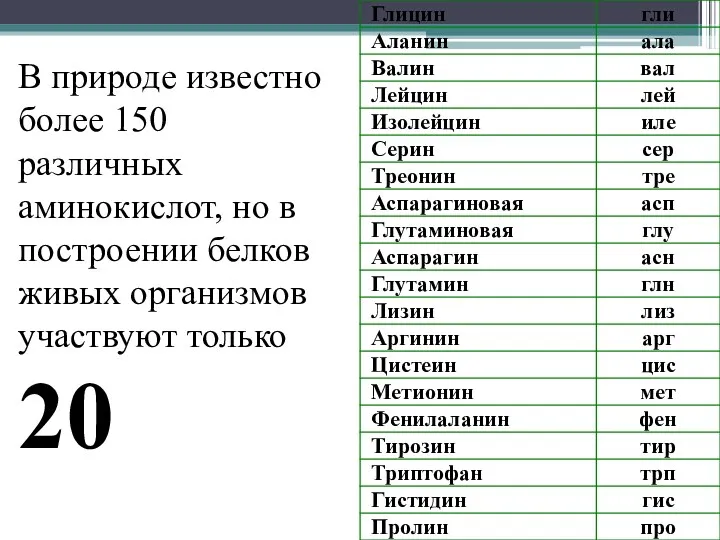 В природе известно более 150 различных аминокислот, но в построении белков живых организмов участвуют только 20