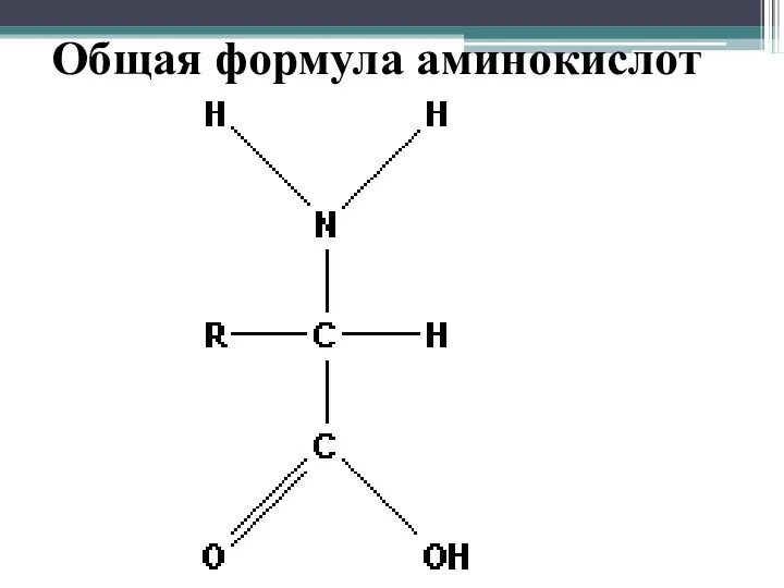 Общая формула аминокислот