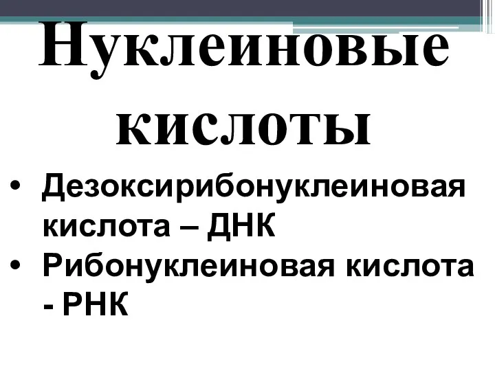 Нуклеиновые кислоты Дезоксирибонуклеиновая кислота – ДНК Рибонуклеиновая кислота - РНК