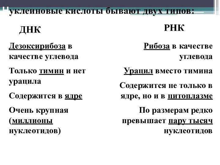 Нуклеиновые кислоты бывают двух типов: ДНК РНК Дезоксирибоза в качестве