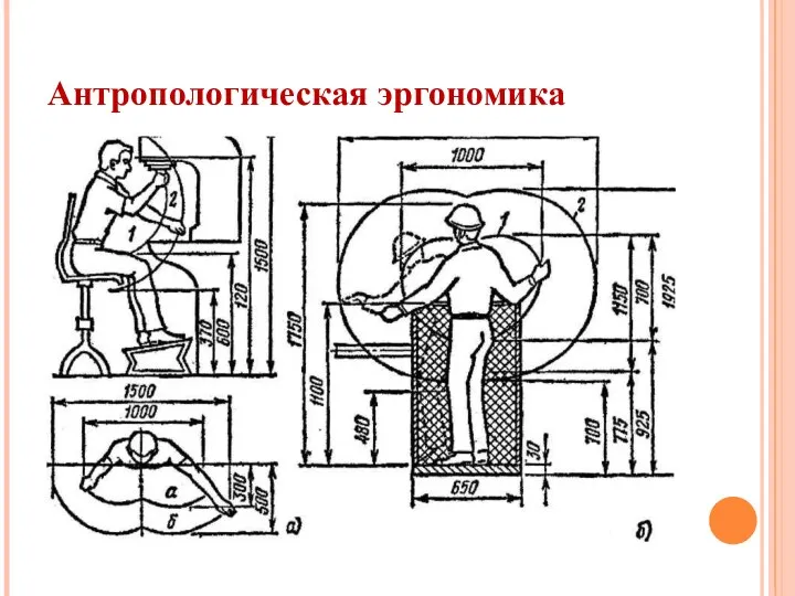 Антропологическая эргономика