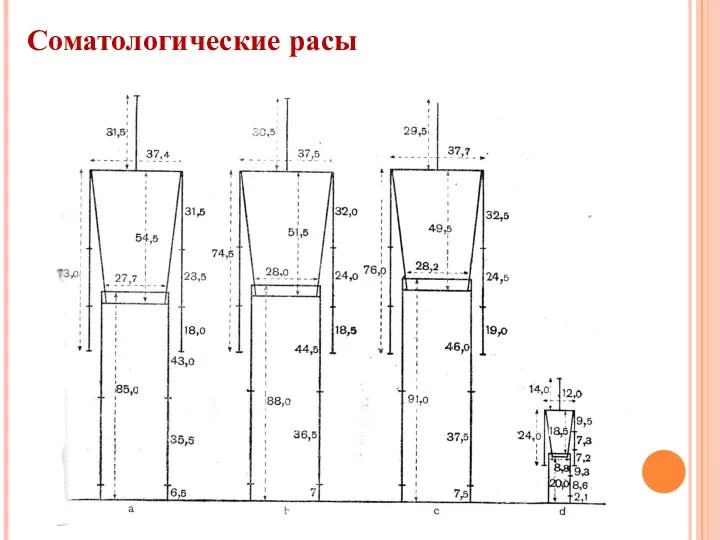 Соматологические расы