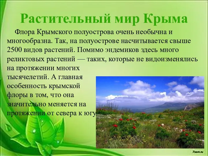Растительный мир Крыма Флора Крымского полуострова очень необычна и многообразна. Так, на полуострове