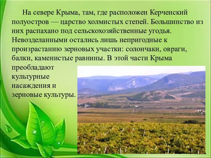 На севере Крыма, там, где расположен Керченский полуостров — царство холмистых степей. Большинство