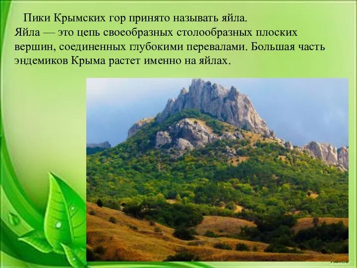 Пики Крымских гор принято называть яйла. Яйла — это цепь своеобразных столообразных плоских