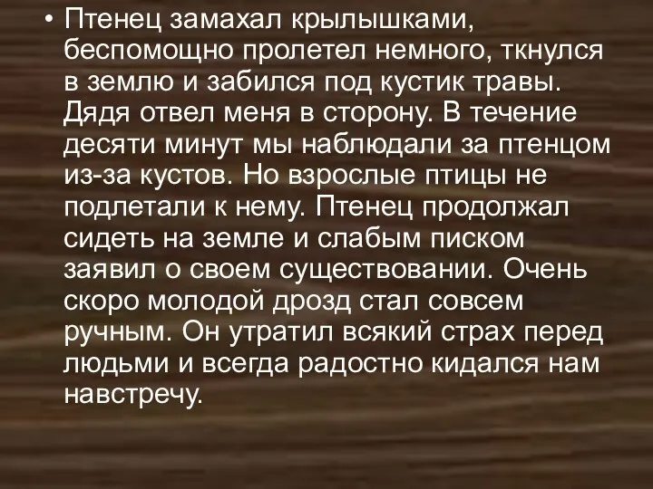 Птенец замахал крылышками, беспомощно пролетел немного, ткнулся в землю и забился под кустик