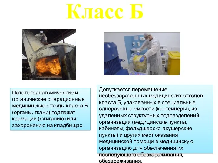 Класс Б Патологоанатомические и органические операционные медицинские отходы класса Б