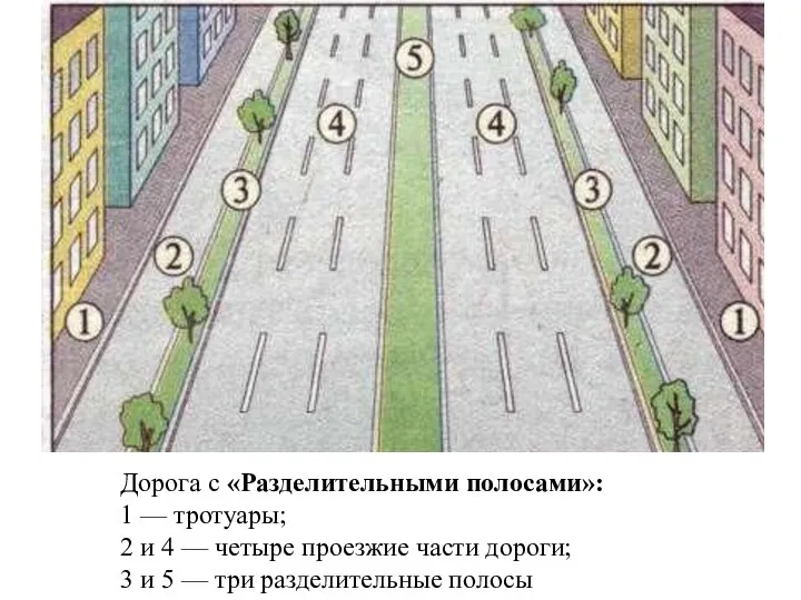 Дорога с «Разделительными полосами»: 1 — тротуары; 2 и 4 — четыре проезжие