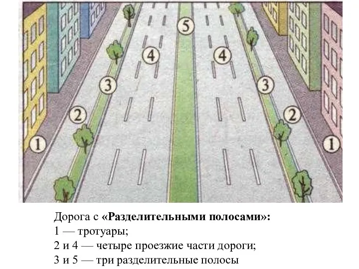 Дорога с «Разделительными полосами»: 1 — тротуары; 2 и 4