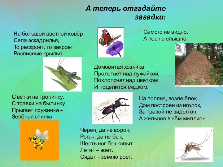 На большой цветной ковёр Села эскадрилья, То раскроет, то закроет