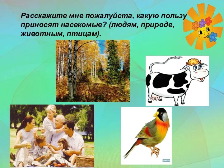 Расскажите мне пожалуйста, какую пользу приносят насекомые? (людям, природе, животным, птицам).