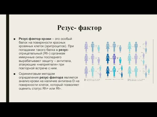 Резус- фактор Резус-фактор крови – это особый белок на поверхности