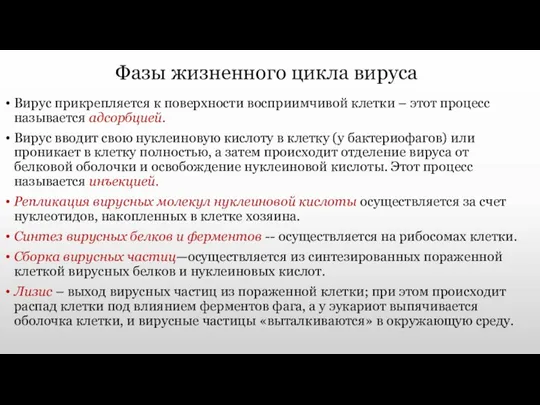 Вирус прикрепляется к поверхности восприимчивой клетки – этот процесс называется