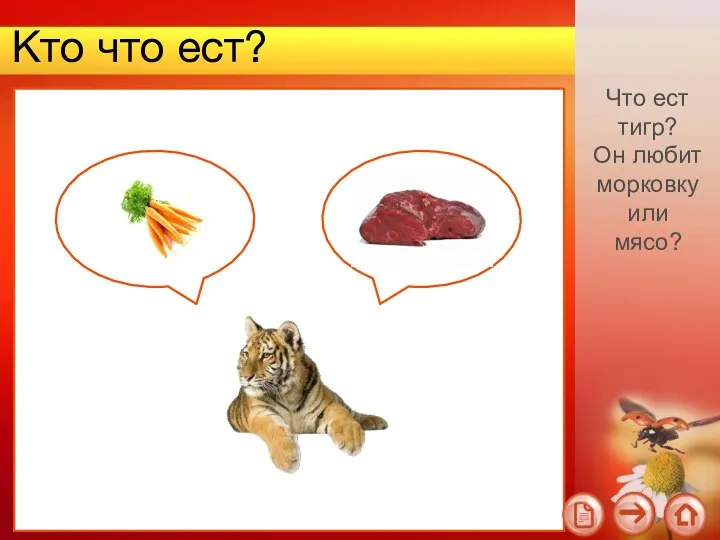 Кто что ест? Что ест тигр? Он любит морковку или мясо?