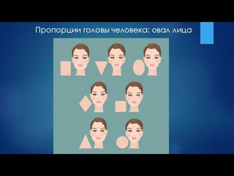 Пропорции головы человека: овал лица
