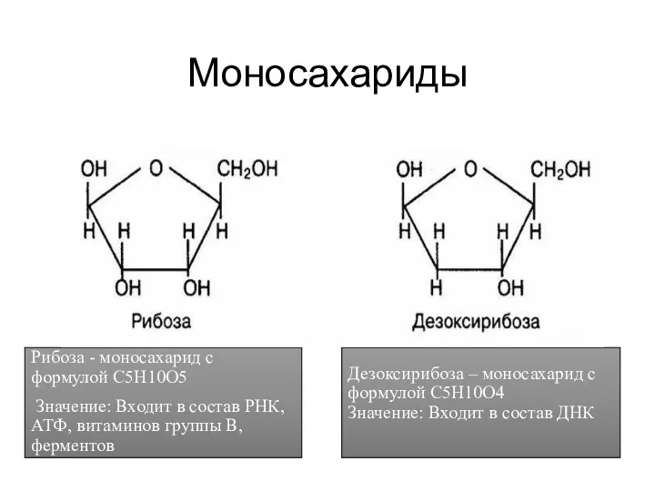 Моносахариды Рибоза - моносахарид с формулой С5Н10О5 Значение: Входит в