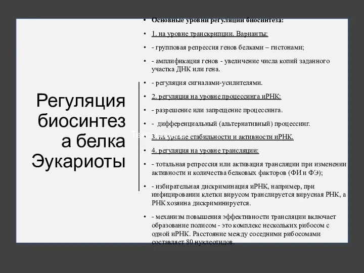 Регуляция биосинтеза белка Эукариоты Основные уровни регуляции биосинтеза: 1. на