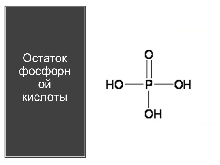 Остаток фосфорной кислоты