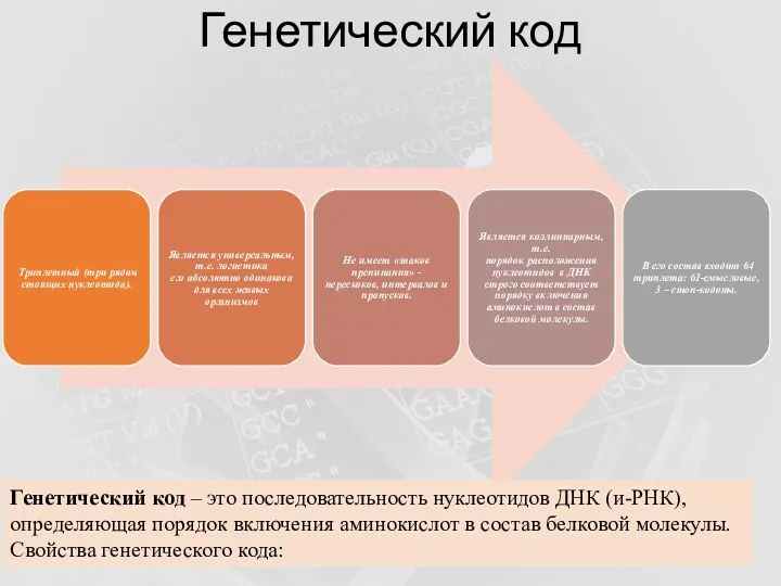 Генетический код Генетический код – это последовательность нуклеотидов ДНК (и-РНК),