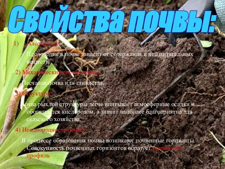 Свойства почвы: Плодородие; Плодородие в почве зависит от содержания в ней питательных веществ.