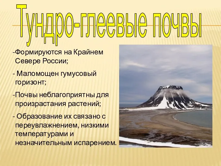 Тундро-глеевые почвы Формируются на Крайнем Севере России; Маломощен гумусовый горизонт; Почвы неблагоприятны для