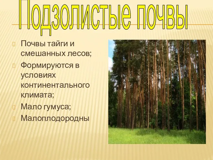 Почвы тайги и смешанных лесов; Формируются в условиях континентального климата; Мало гумуса; Малоплодородны Подзолистые почвы