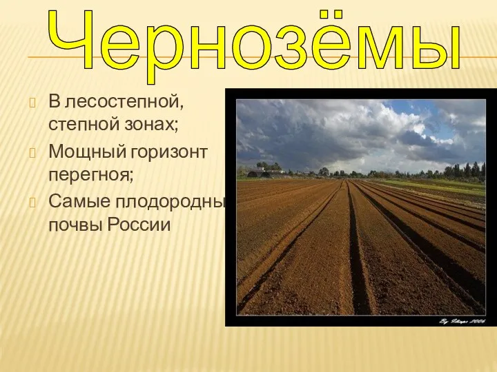 В лесостепной, степной зонах; Мощный горизонт перегноя; Самые плодородные почвы России Чернозёмы