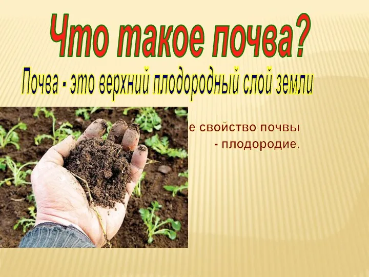 Что такое почва? Почва - это верхний плодородный слой земли Основное свойство почвы - плодородие.