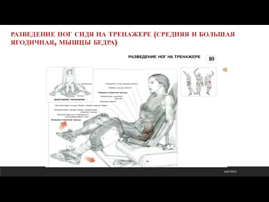 ср 22.03.23 РАЗВЕДЕНИЕ НОГ СИДЯ НА ТРЕНАЖЕРЕ (СРЕДНЯЯ И БОЛЬШАЯ ЯГОДИЧНАЯ, МЫШЦЫ БЕДРА)