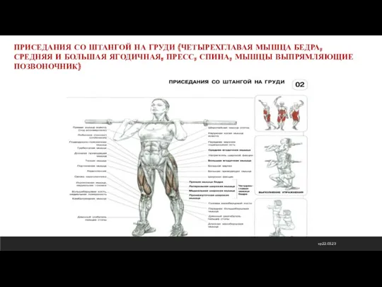 ср 22.03.23 ПРИСЕДАНИЯ СО ШТАНГОЙ НА ГРУДИ (ЧЕТЫРЕХГЛАВАЯ МЫШЦА БЕДРА,