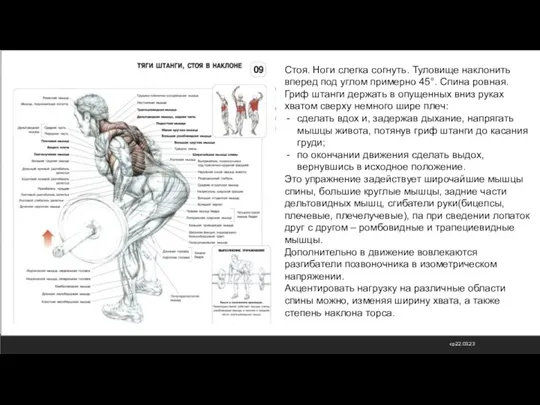 ср 22.03.23 Стоя. Ноги слегка согнуть. Туловище наклонить вперед под