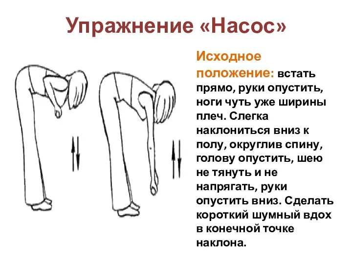 Упражнение «Насос» Исходное положение: встать прямо, руки опустить, ноги чуть уже ширины плеч.