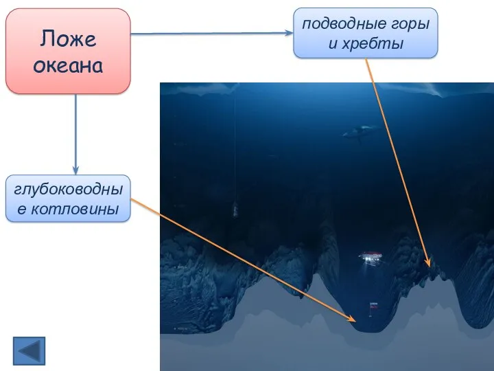 Ложе океана глубоководные котловины подводные горы и хребты