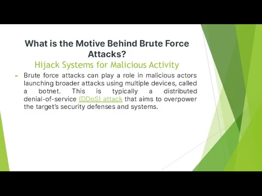 What is the Motive Behind Brute Force Attacks? Hijack Systems for Malicious Activity