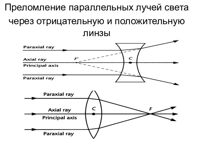 Преломление параллельных лучей света через отрицательную и положительную линзы