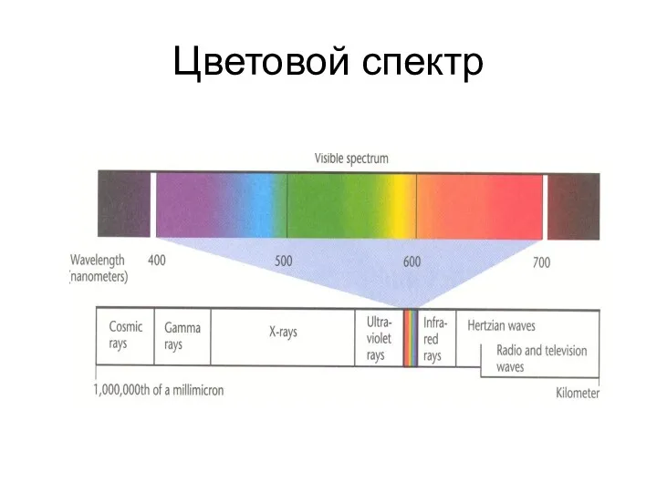 Цветовой спектр