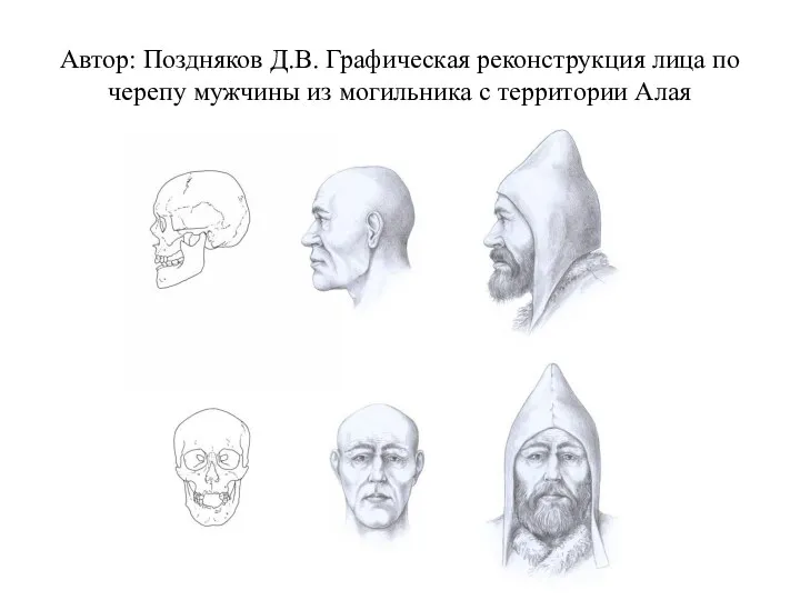 Автор: Поздняков Д.В. Графическая реконструкция лица по черепу мужчины из могильника с территории Алая