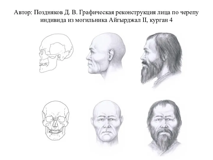 Автор: Поздняков Д. В. Графическая реконструкция лица по черепу индивида из могильника Айгырджал II, курган 4