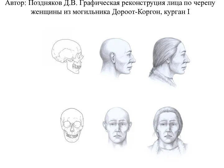 Автор: Поздняков Д.В. Графическая реконструция лица по черепу женщины из могильника Дороот-Коргон, курган I