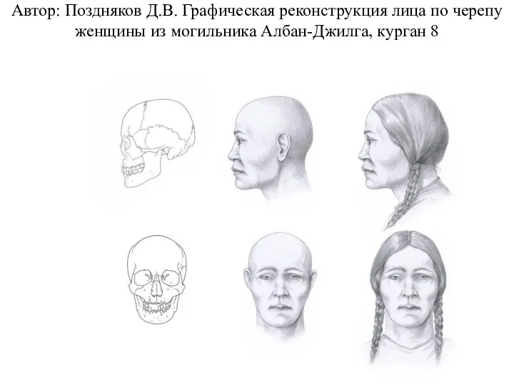 Автор: Поздняков Д.В. Графическая реконструкция лица по черепу женщины из могильника Албан-Джилга, курган 8