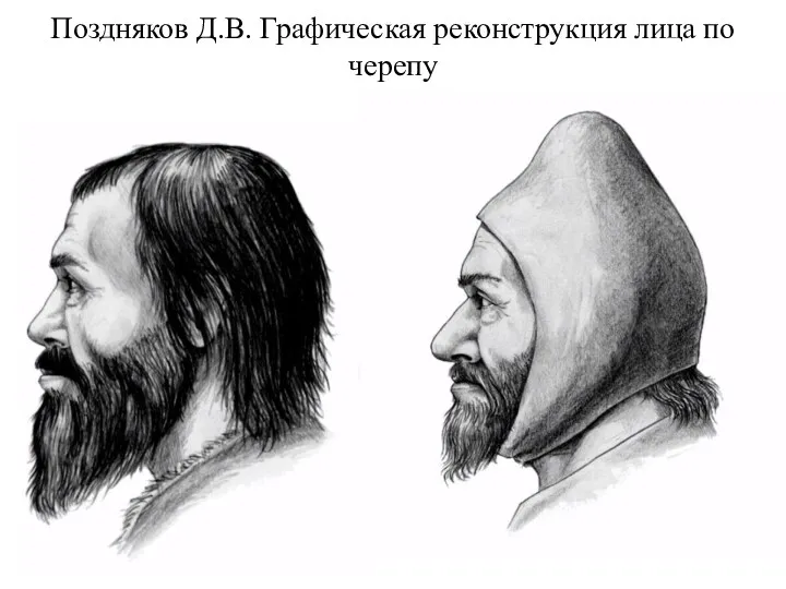 Поздняков Д.В. Графическая реконструкция лица по черепу